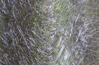 Ladmanlow fibreglass roof work